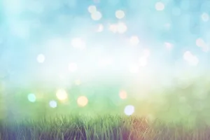 top 8 Spring Activities To Do In Cleveland