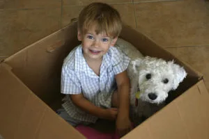 Where to get moving boxes - boy and dog sitting in a box